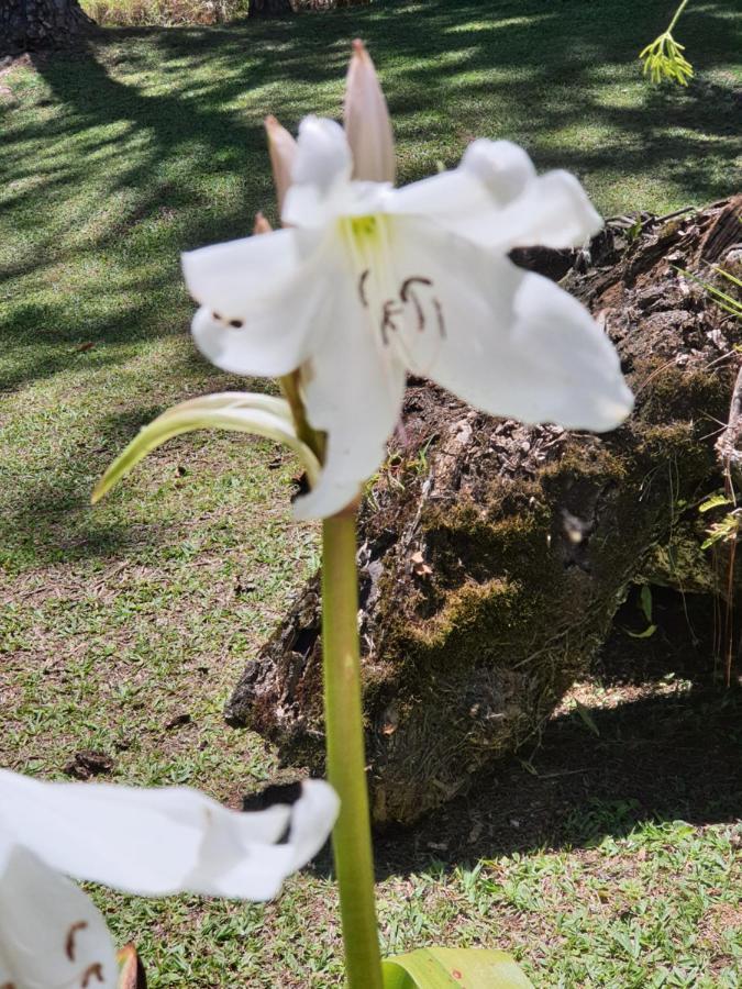 Recanto Das Borboletas São Roque Esterno foto