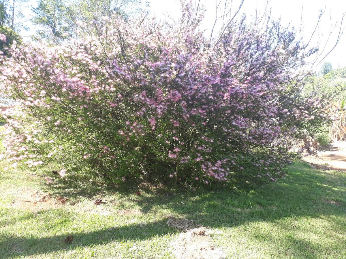 Recanto Das Borboletas São Roque Esterno foto