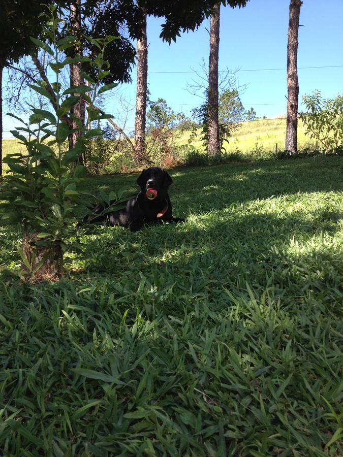 Recanto Das Borboletas São Roque Esterno foto