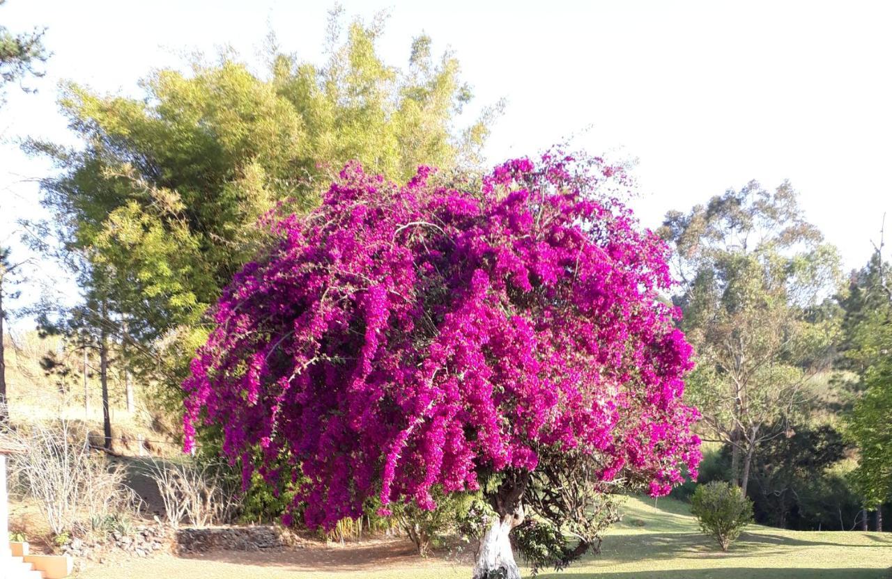 Recanto Das Borboletas São Roque Esterno foto