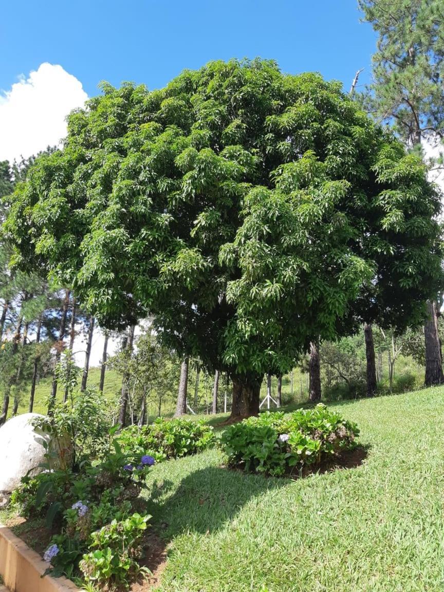 Recanto Das Borboletas São Roque Esterno foto